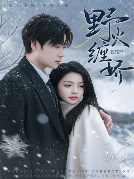 野火缠娇（66集）胡金池＆刘苗苗 高清完整版